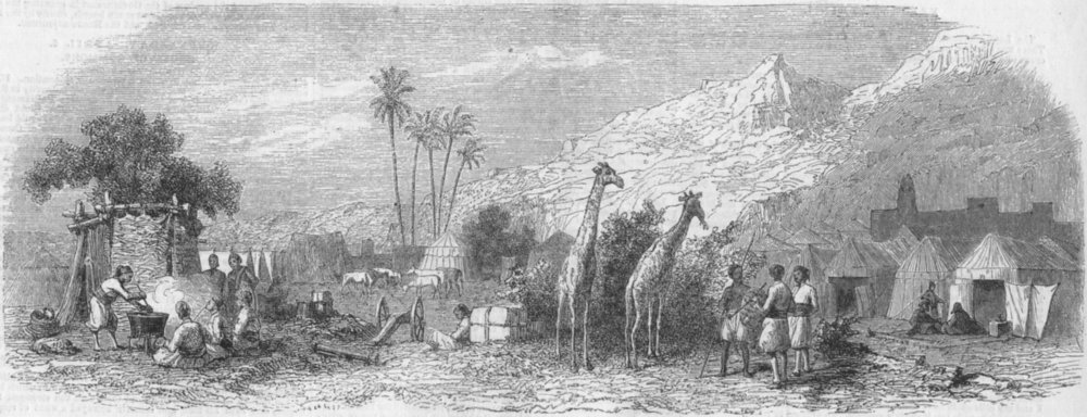 SUDAN. Egyptian Camp, Korosko, Nubia, antique print, 1859
