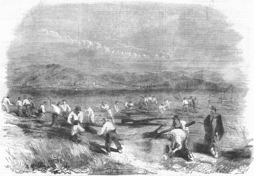 Associate Product ALESSANDRIA. Sardinians felling trees, antique print, 1859