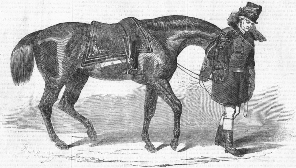 Associate Product ROYALTY. Duke's horse, led, his groom, antique print, 1852