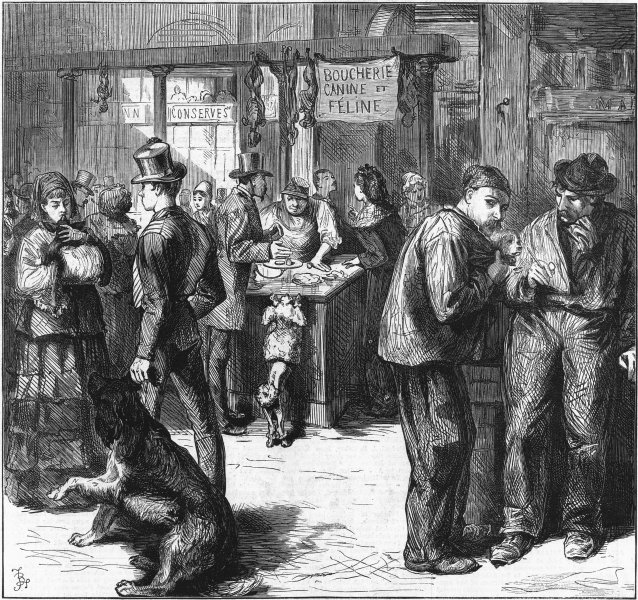 Associate Product FRANCE. Market for dogs & cats flesh, Paris, antique print, 1871