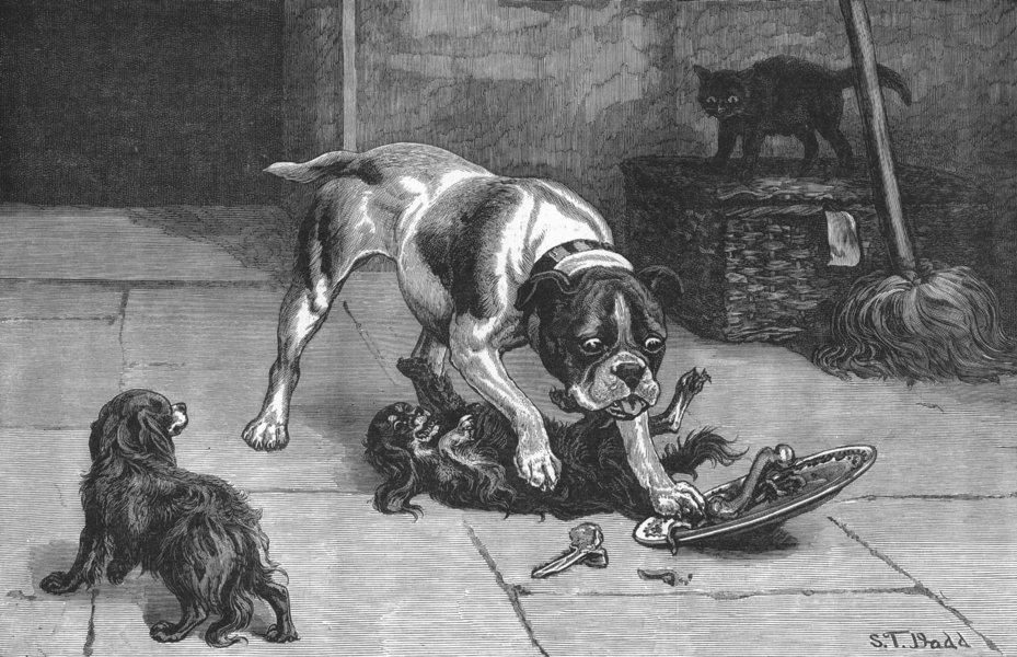 Associate Product DOGS. Robbery with violence, antique print, 1884