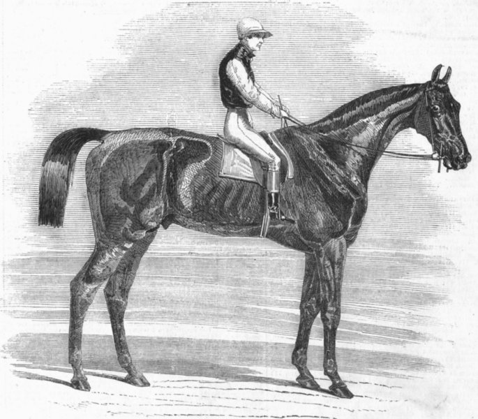 Associate Product NEWMARKET. Weathergage, winner Cesarewitch stakes, antique print, 1852
