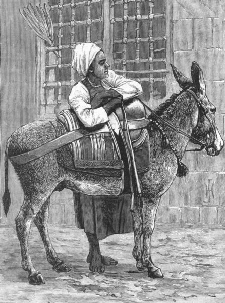 CAIRO. & Nile-1 trip of 2nd cataract. donkey boy, antique print, 1880