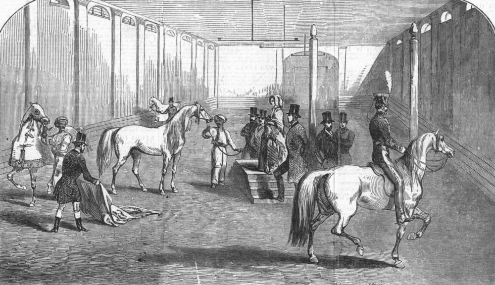 PIMLICO. Queen viewing Arabian horses, riding House, antique print, 1846