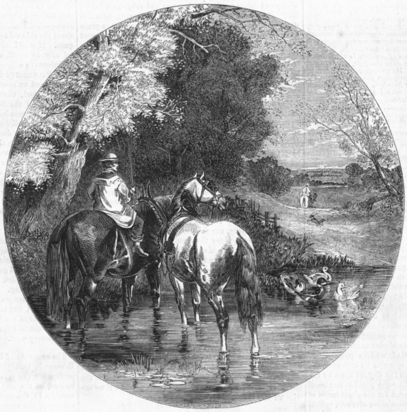 Associate Product HORSES. The watering place, antique print, 1859