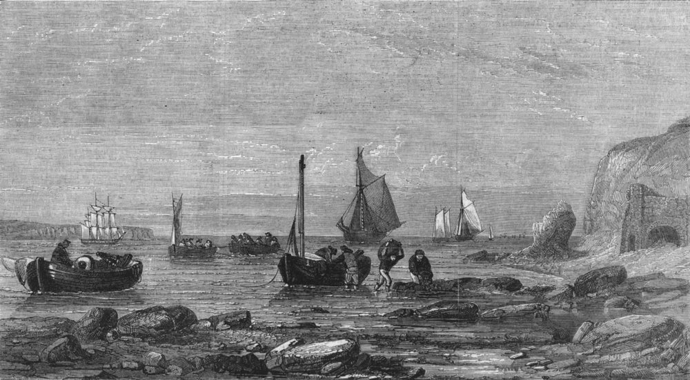 Associate Product FOOD. Oyster fishing, Boats returning home, antique print, 1856