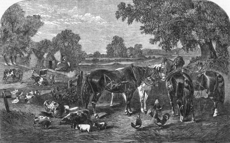 Associate Product HORSES. The farmyard, antique print, 1859