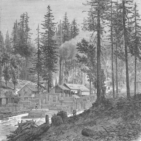 Associate Product USA. Pacific railway. Saw mill in forest of pines 1880 old antique print