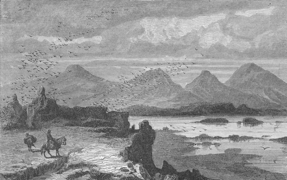 SCOTLAND. Iceland. inner Firth 1880 old antique vintage print picture