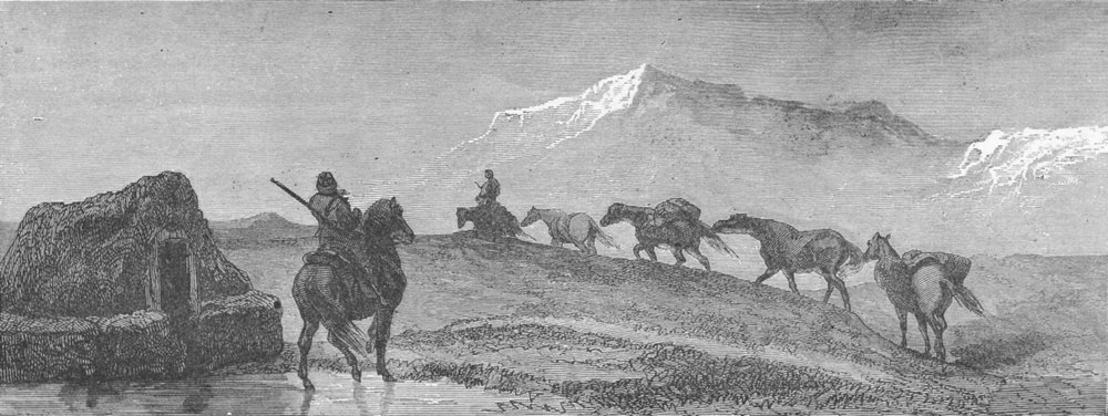 ICELAND. Iceland. A team of Ponies 1880 old antique vintage print picture