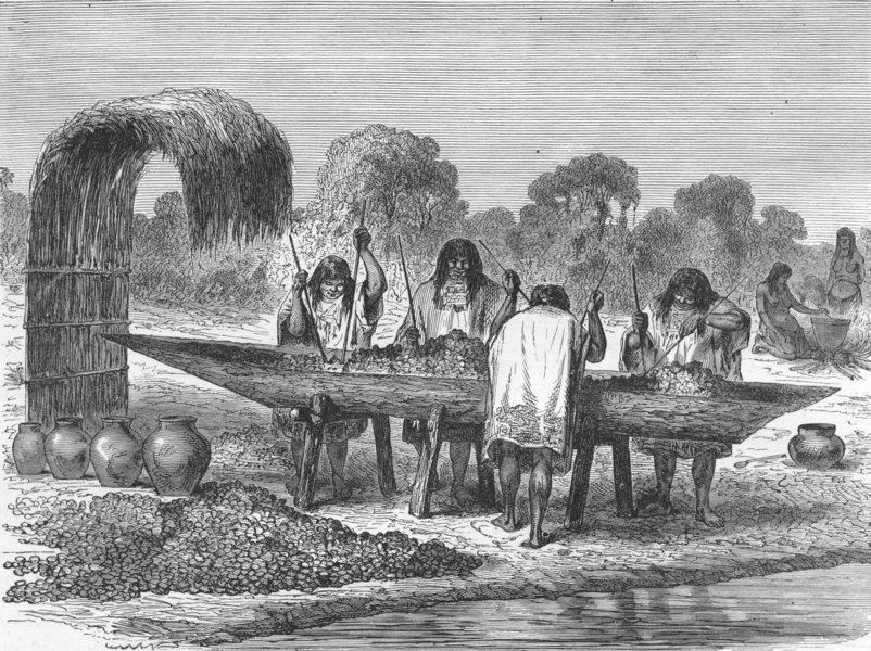 Associate Product BRAZIL. Indians mashing turtle eggs 1880 old antique vintage print picture