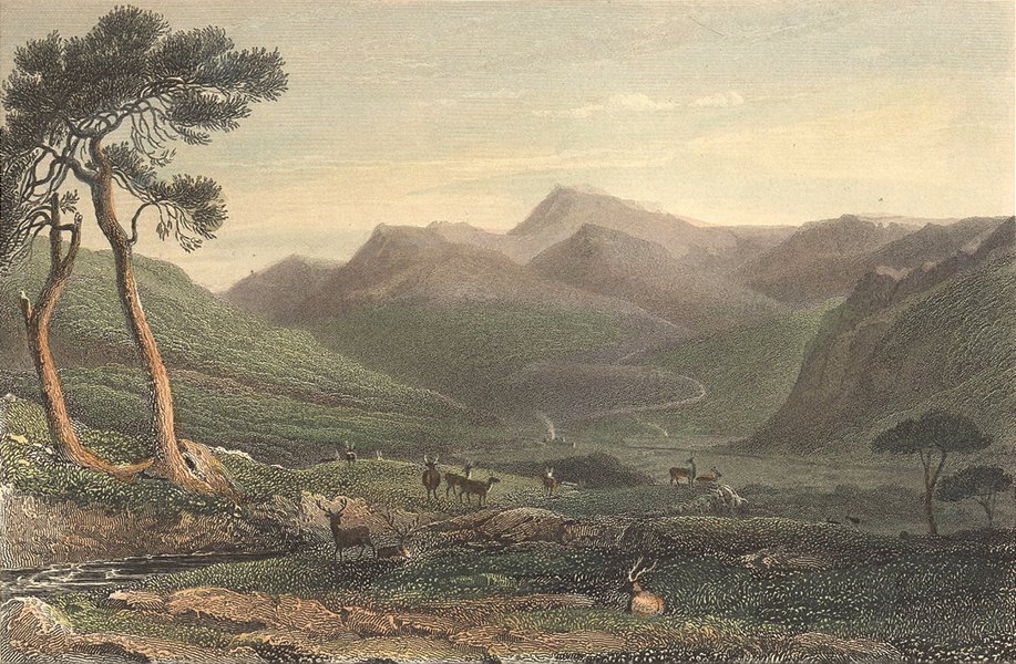 Associate Product SCOTLAND. Lachin-y-Gair. Wales Deer grazing Finden 1833 old antique print