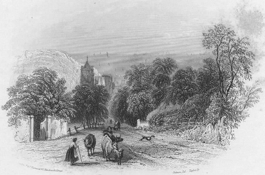 Associate Product SUSSEX. Entry to Hastings. Harwood 1841 old antique vintage print picture
