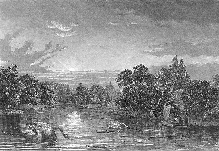 NETHERLANDS. Busch Haag. Wolff. HAGUE river Swans 1844 old antique print
