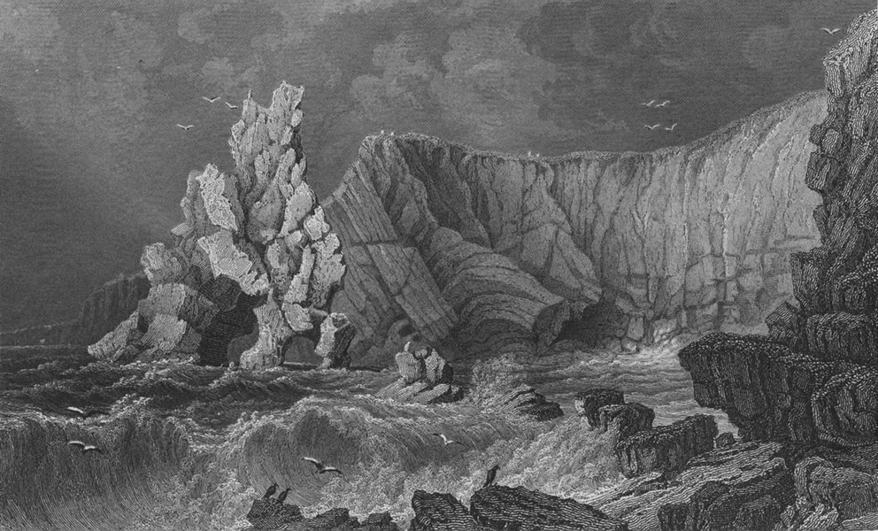 Associate Product IOW. View near Freshwater Bay c1840 old antique vintage print picture