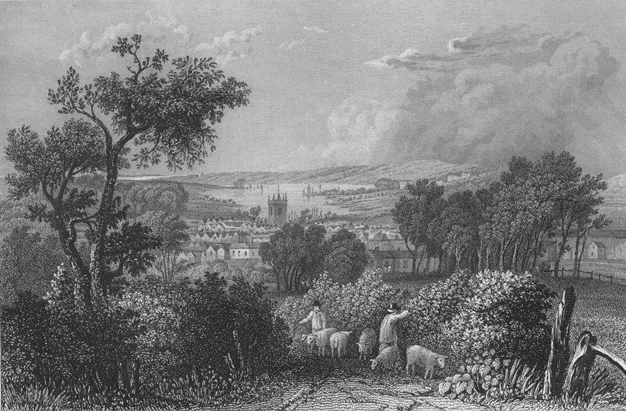 Associate Product IOW. Newport from the South-Bartlett c1840 old antique vintage print picture