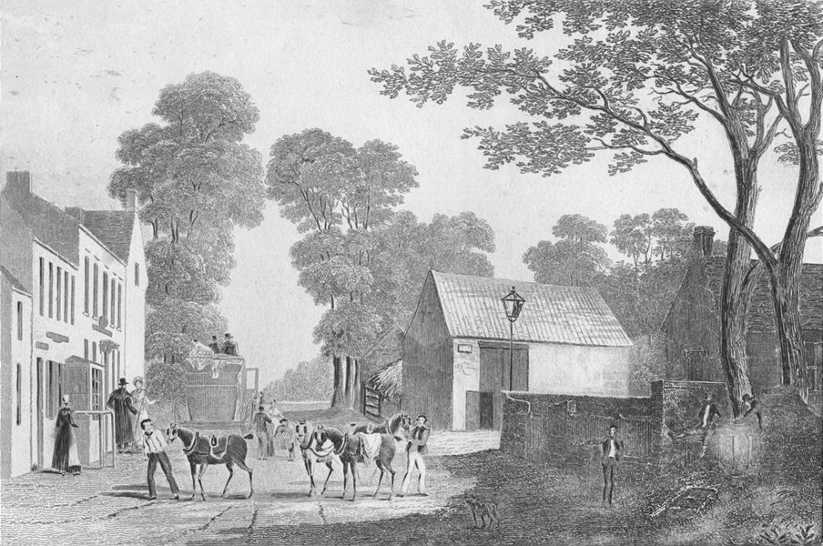 LINCS. Spittal. Saunders Several Horses busy 1836 old antique print picture