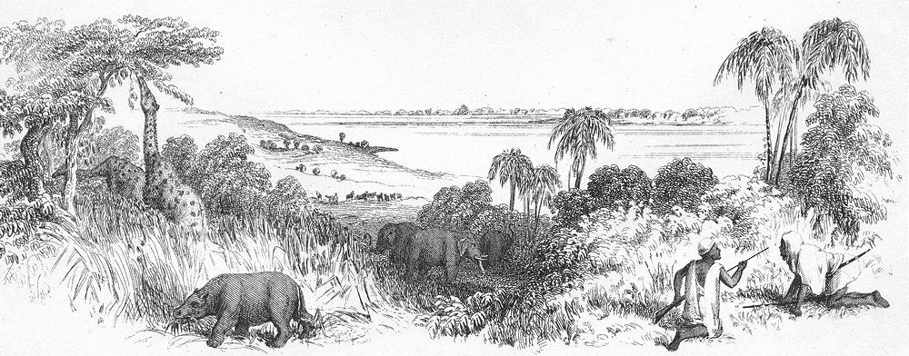 AFRICA. Scenery & North & Central. Lake Chad c1849 old antique print picture