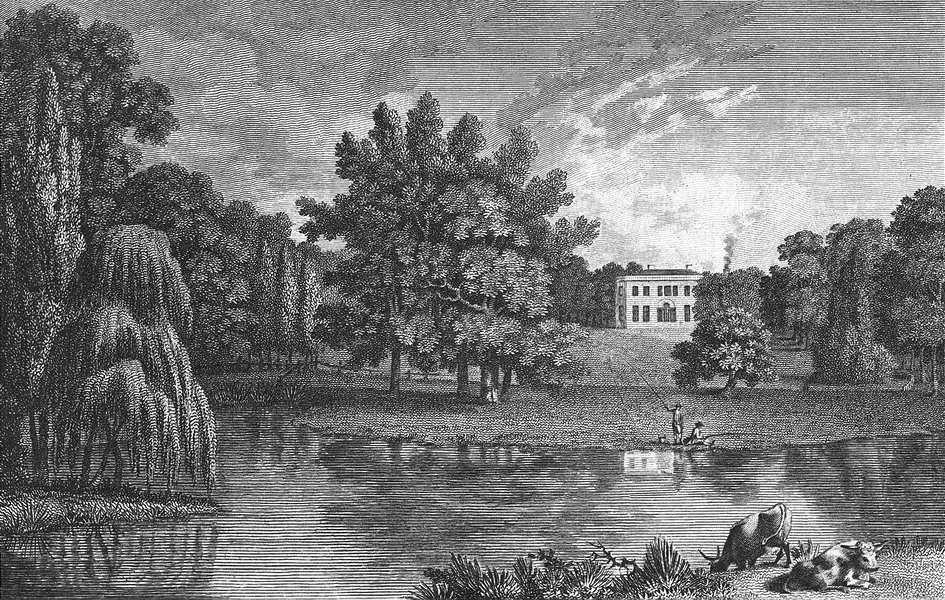 OXON. Whitefield, Oxfordshire. Walker Thame 1794 old antique print picture