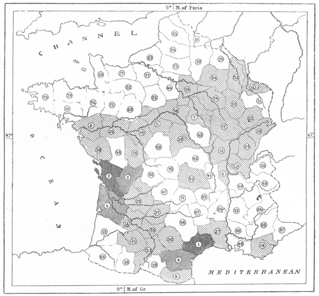 FRANCE. Produce of Vineyards, sketch map c1885 old antique plan chart