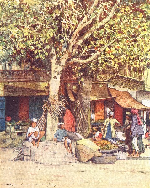 Associate Product INDIA. Mid-day, Delhi 1905 old antique vintage print picture