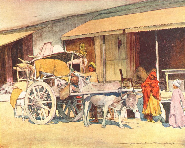 Associate Product INDIA. A bull-cart, Ajmer 1905 old antique vintage print picture