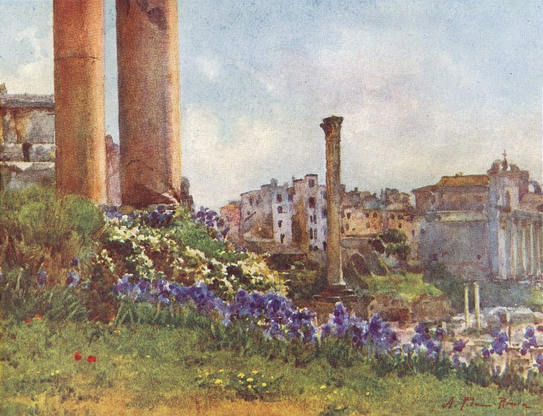 Associate Product ROME. A Forum base of Temple Saturn 1905 old antique vintage print picture