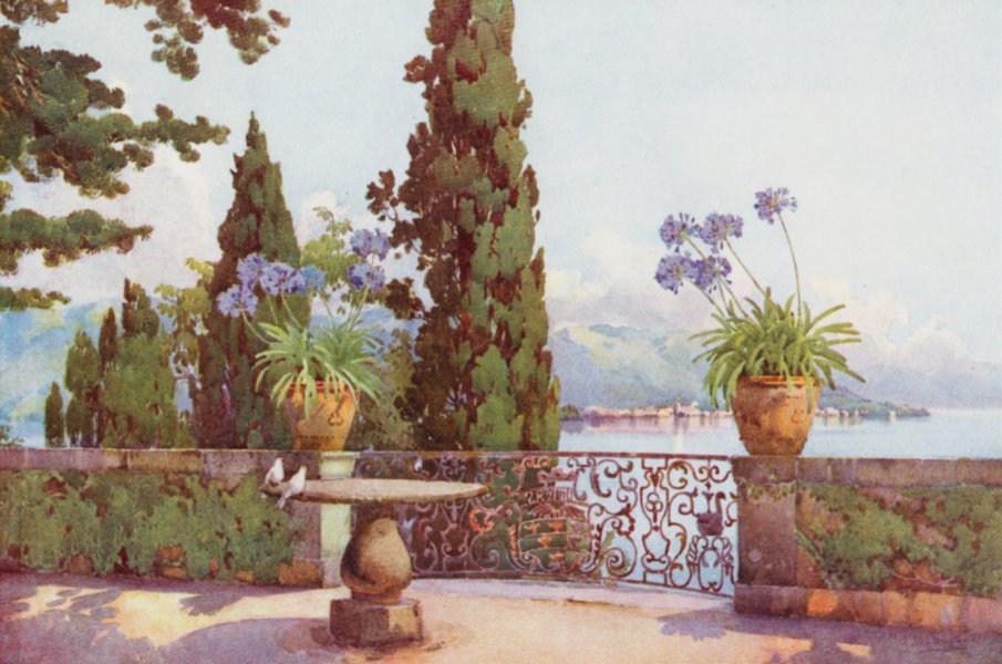 Associate Product ITALY. Lago di Maggiore. Pallanza from Isola Bella 1905 old antique print