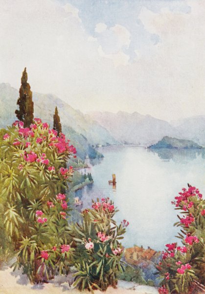 Associate Product ITALY. Lake Como. Villa Serbelloni, Lago di Como 1905 old antique print