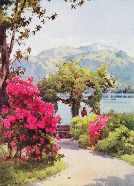 Associate Product ITALY. Lake Como. Villa Carlotta, Lago di Como 1905 old antique print picture