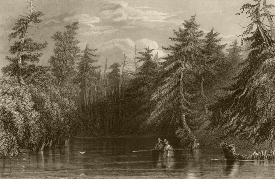 Barhydt's Lake (near Saratoga), New York. WH BARTLETT 1840 old antique print