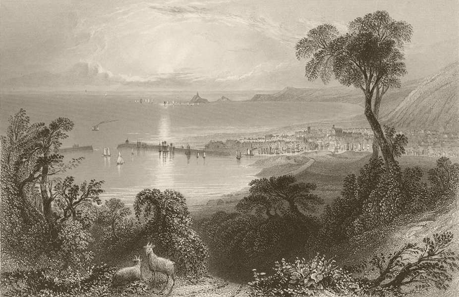 Associate Product Swansea Bay, with lighthouse in the distance. Wales. BARTLETT 1842 old print
