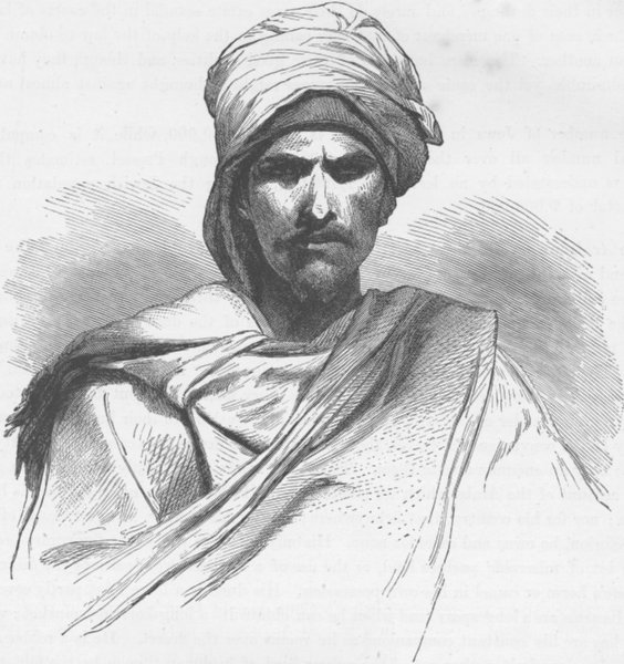 NORTH AFRICA. Bedouin of Sinai 1890 old antique vintage print picture