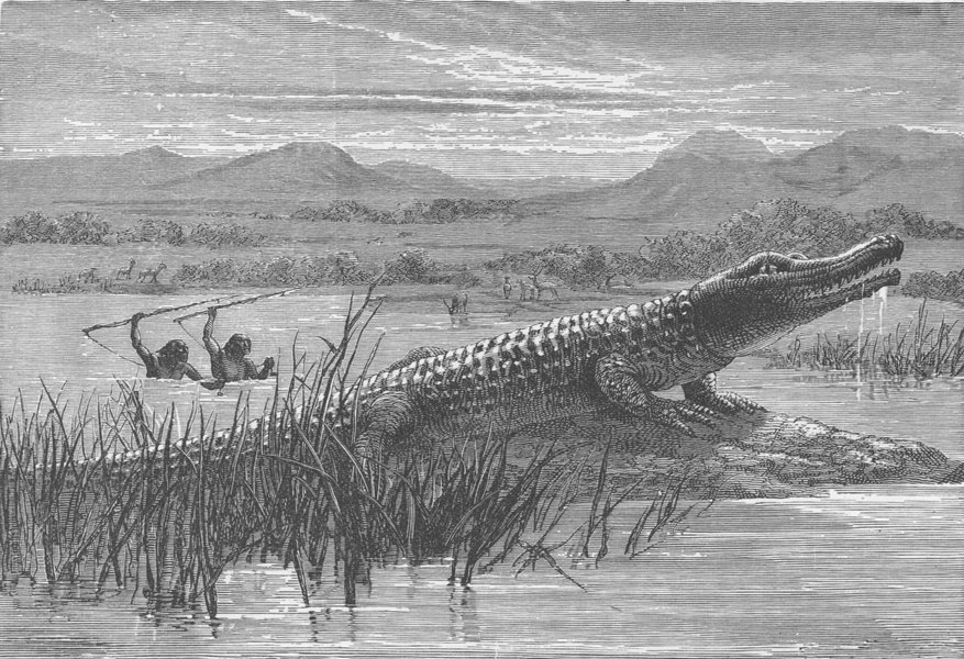 Associate Product ETHIOPIA.Hamran Arabs Crocodile-Hunting,Abyssinian Tributary of the Nile 1890