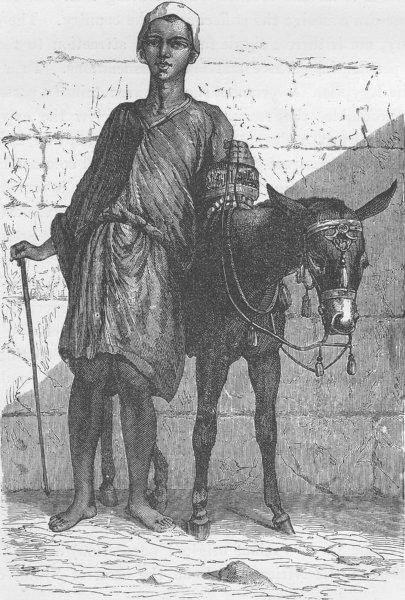 Associate Product EGYPT. Fellah (Arab) donkey boy 1890 old antique vintage print picture