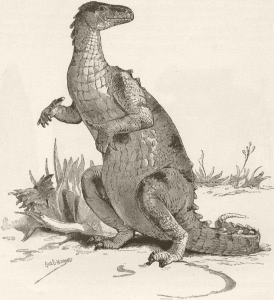 CROCODILES. Restoration of iguanodon 1896 old antique vintage print picture
