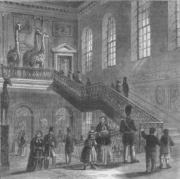 Associate Product THE BRITISH MUSEUM. Montagu House, grand staircase. London c1880 old print