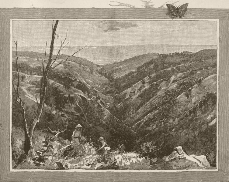 Associate Product LANDSCAPES. Mount Lofty. Waterfall Gully, Adelaide 1890 old antique print