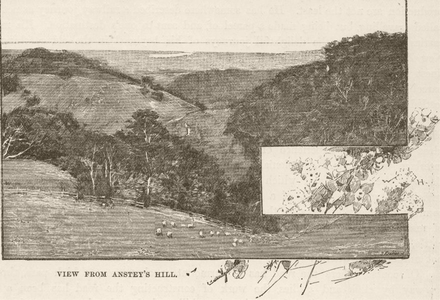 Associate Product AUSTRALIA. Mount Lofty. View from Anstey's hill 1890 old antique print picture