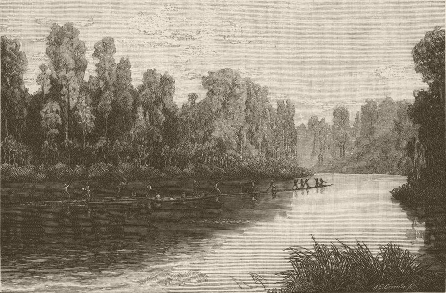 NEW ZEALAND. On the Waikato River 1890 old antique vintage print picture