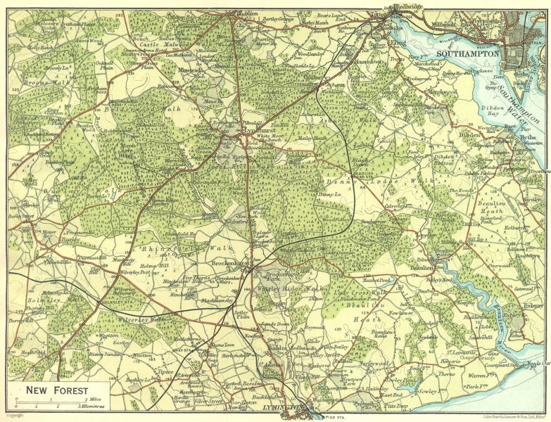 Associate Product HANTS. New forest 1924 old vintage map plan chart