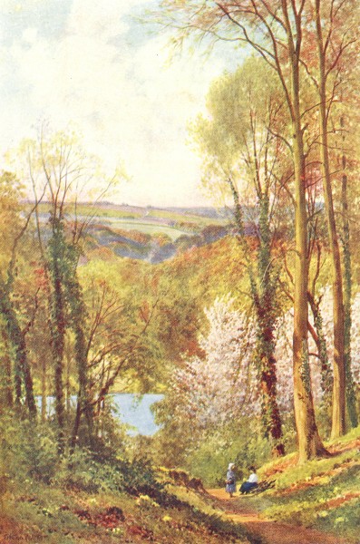 Associate Product Quarry Woods, near Marlow, Buckinghamshire by Sutton Palmer 1920 old print