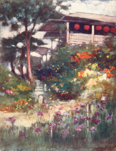 Associate Product JAPAN. An Iris garden 1904 old antique vintage print picture