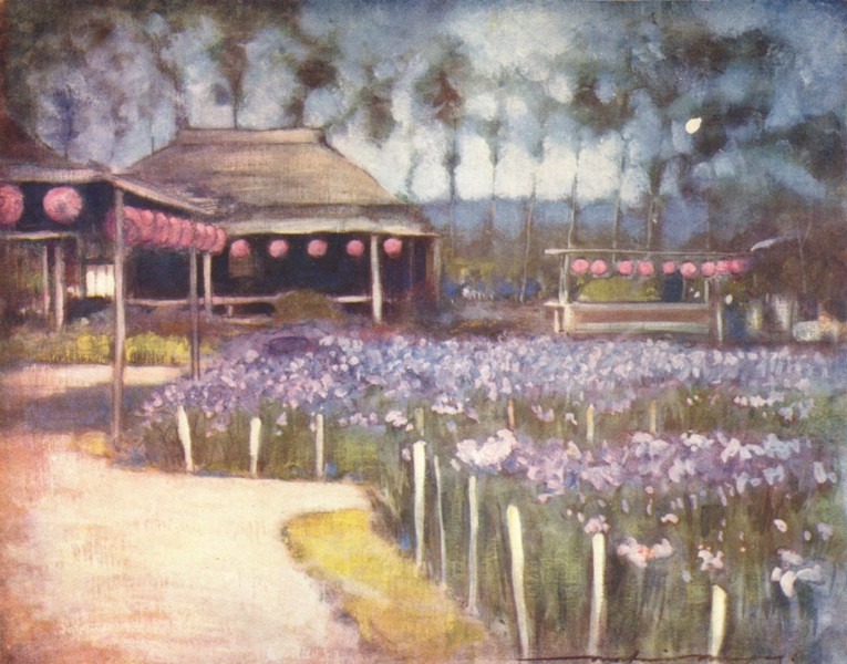 Associate Product JAPAN. Gdns. Iris garden 1904 old antique vintage print picture