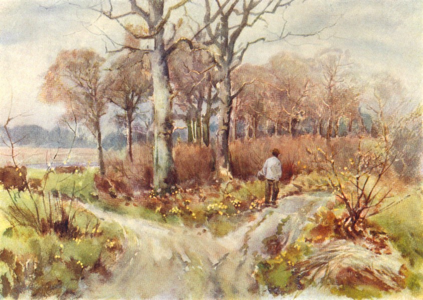 ESSEX. In Wrabness Woods, Harwich 1909 old antique vintage print picture