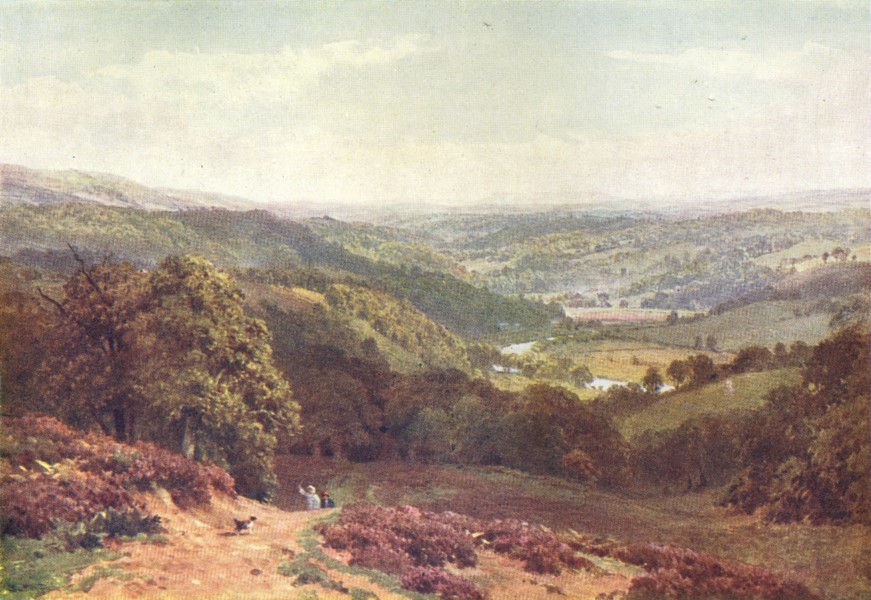 Associate Product SURREY. Pilgrims way. Vale of Albury, from St Martha's Hill 1912 old print