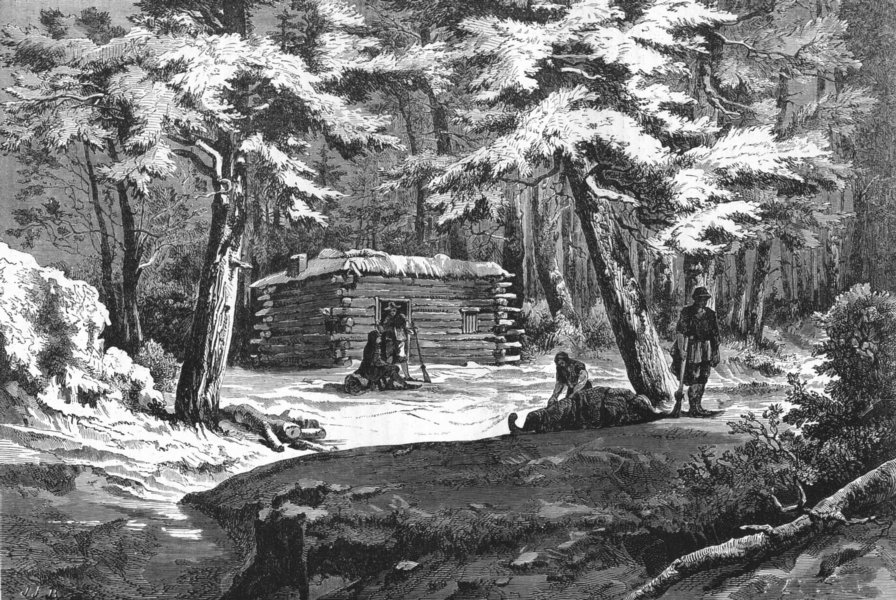 NORWAY. Hut in a Norwegian Forest 1880 old antique vintage print picture