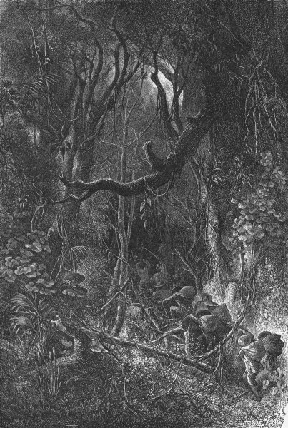 PERU. Travelling through Forest of Inambari 1880 old antique print picture