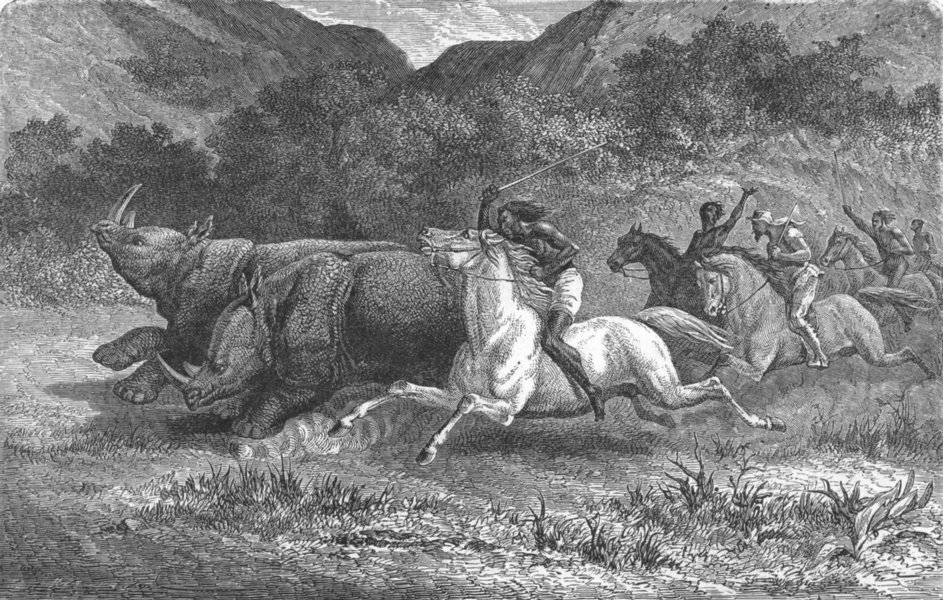 Associate Product S AFRICA. Trekking hunt. Driving Game 1880 old antique vintage print picture