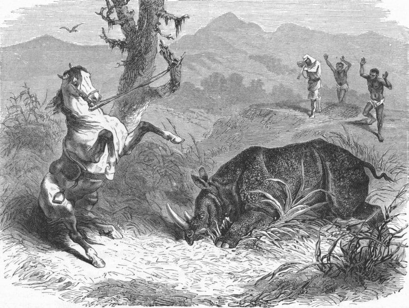 S AFRICA. Trekking hunt. favourite danger 1880 old antique print picture